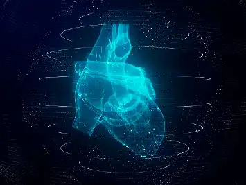 Black Radish Extract Black Radish Extract