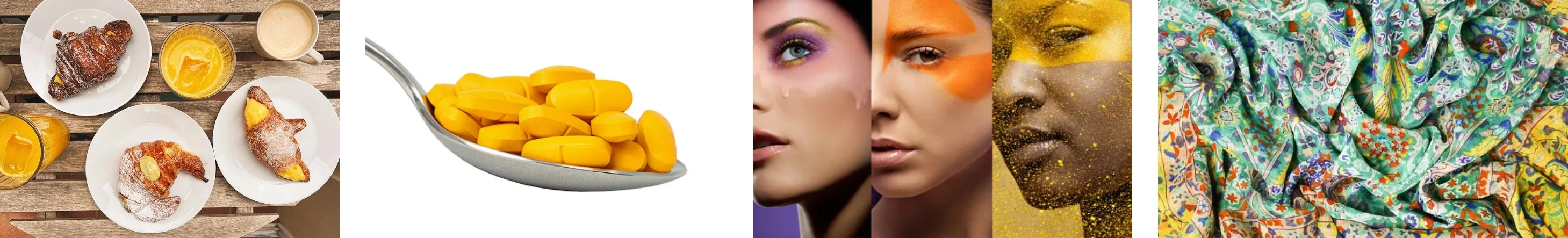 Gardenia Jasminoides Yellow Gardenia Jasminoides Yellow