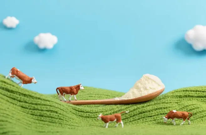 Powdered Bovine Colostrum Powdered Bovine Colostrum