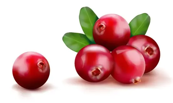 Pure Alpha-Arbutin Pure Alpha-Arbutin