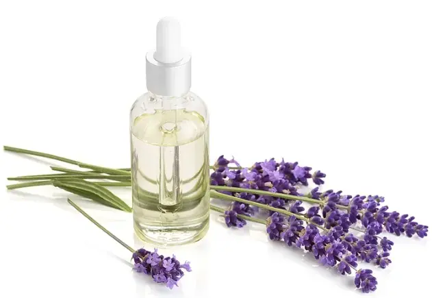 100 pure essential lavender oil