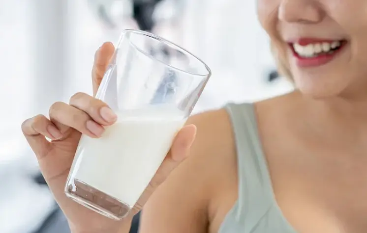 Bovine lactoferrin powder