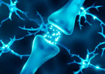 tocotrienols tocotrienols