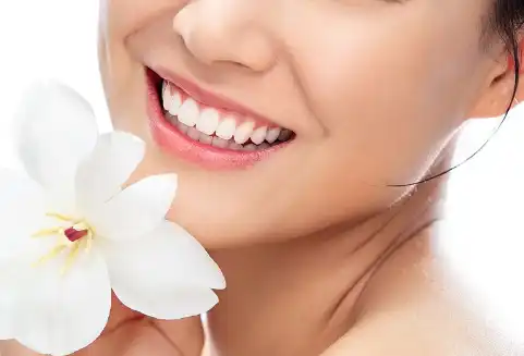 Pure apple extract Pure apple extract