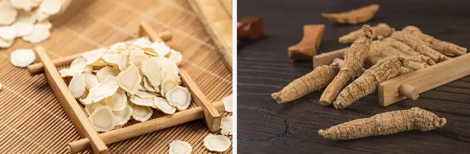 American Ginseng Extract American Ginseng Extract