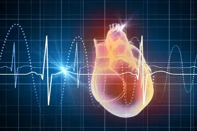 L-Proline powder L-Proline powder