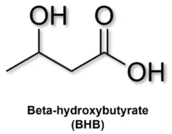 Beta-Hydroxybutyrate powder Beta-Hydroxybutyrate powder