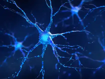 Tetrahydropyridine Tetrahydropyridine