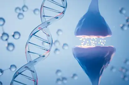 Tetrahydropyridine Tetrahydropyridine