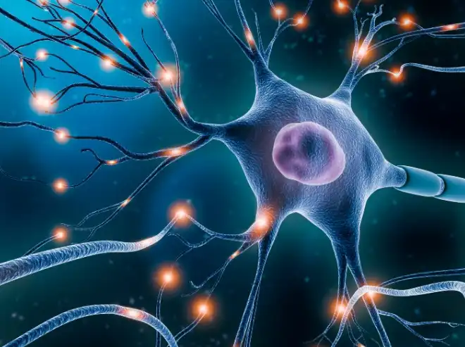 Glycyrrhetinic Acid Glycyrrhetinic Acid