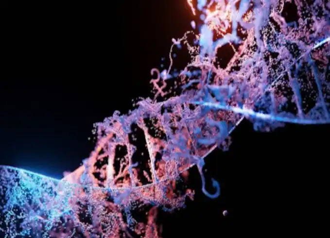 Nicotinamide Adenine Dinucleotide Nicotinamide Adenine Dinucleotide