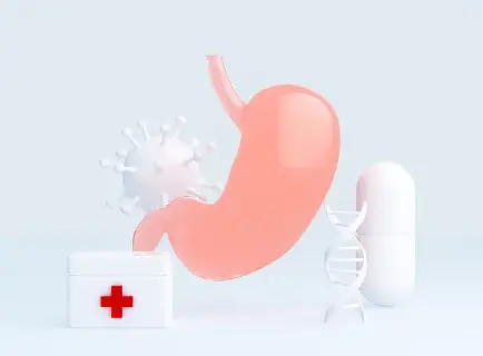 Bulk Chlorella Powder Bulk Chlorella Powder