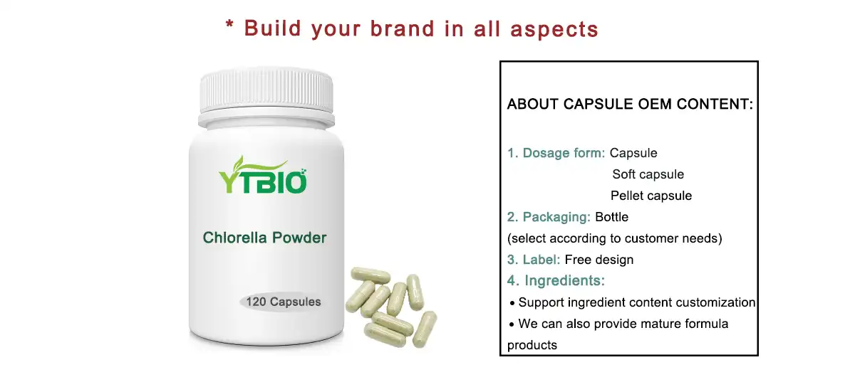 Bulk Chlorella Powder Bulk Chlorella Powder