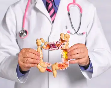 Pure Chitosan Powder Pure Chitosan Powder