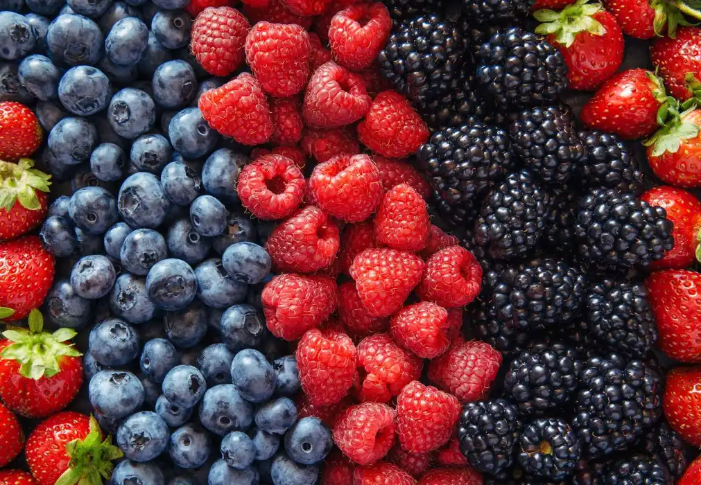 Pure Anthocyanin Pure Anthocyanin