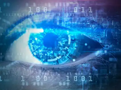 Aronia Powder Bulk Aronia Powder Bulk