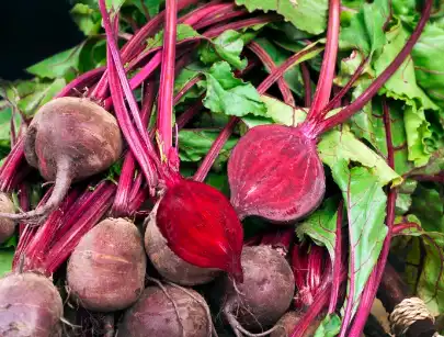 Pure Organic Beetroot Powder Pure Organic Beetroot Powder