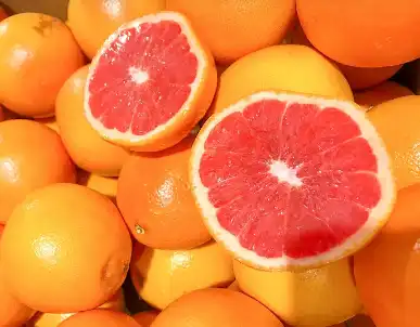 Grapefruit Powder Bulk Grapefruit Powder Bulk