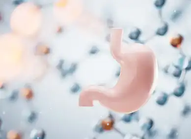 Pure Ginger Powder Pure Ginger Powder