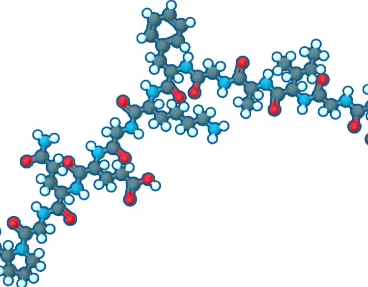 Collagen Type II Powder Collagen Type II Powder