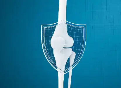 Collagen Type II Powder Collagen Type II Powder