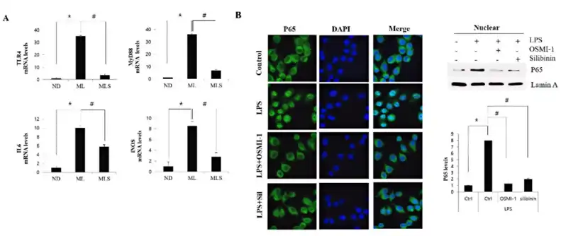 Silybin Powder Silybin Powder