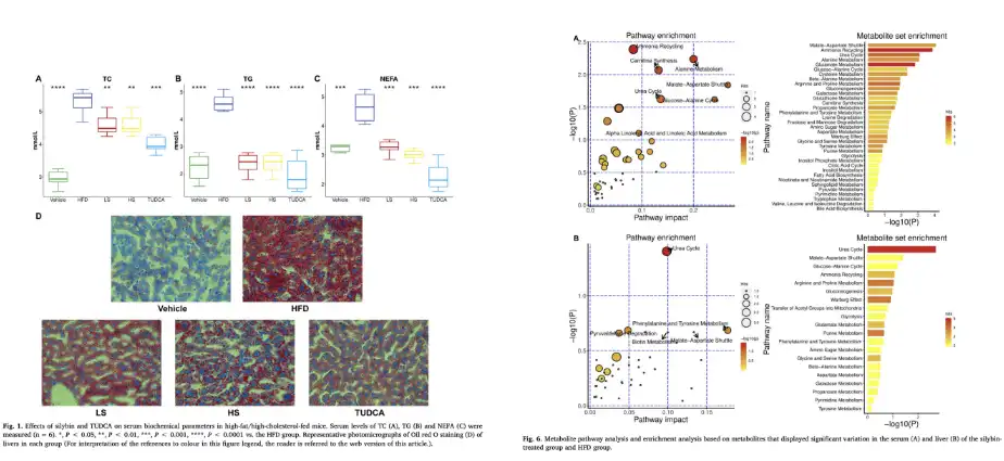 Silybin Powder Silybin Powder