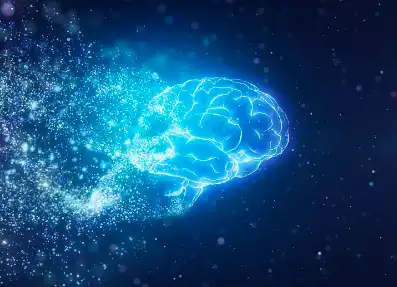 Fish Protein Powder Fish Protein Powder