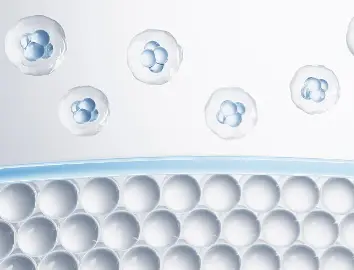 Canthaxanthin Powder Canthaxanthin Powder