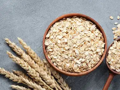 Hydrolyzed Oat Protein Hydrolyzed Oat Protein