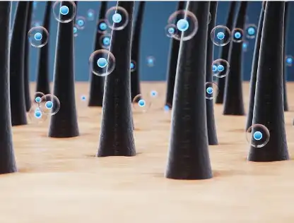 Hydrolyzed Oat Protein Hydrolyzed Oat Protein