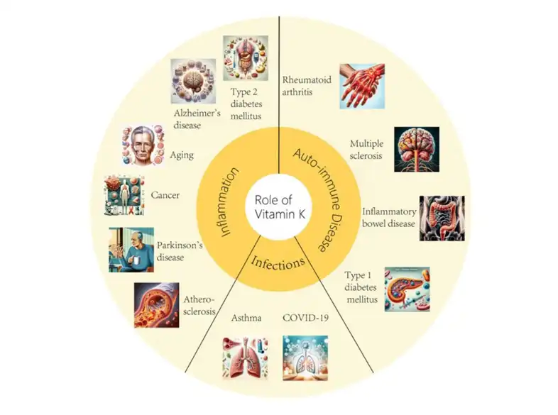 Vitamin K2 Powder Vitamin K2 Powder