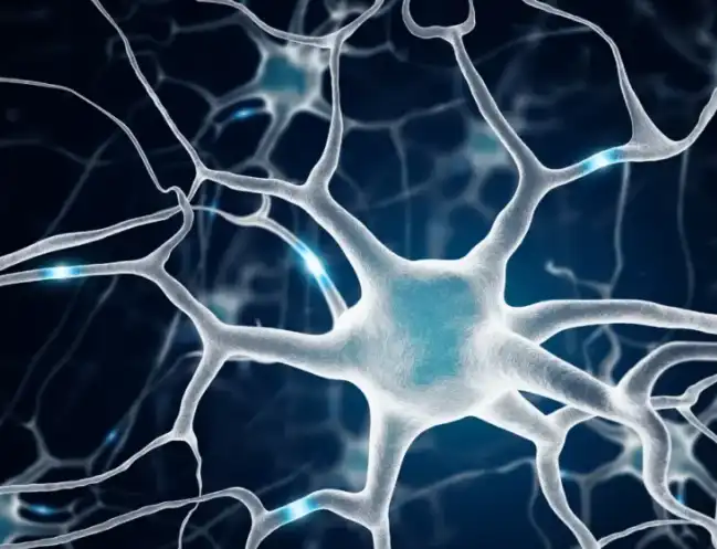 Yohimbe Powder Yohimbe Powder