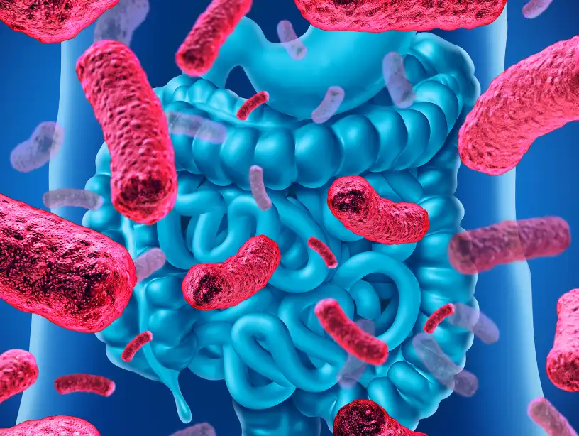 Pure Probiotics Powder Pure Probiotics Powder