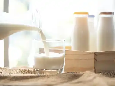 Bulk Whey Protein Powder Bulk Whey Protein Powder