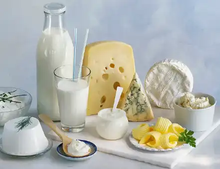 Bulk Whey Protein Powder Bulk Whey Protein Powder