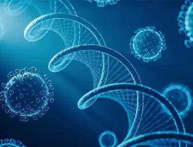 Ergosterol Powder Ergosterol Powder