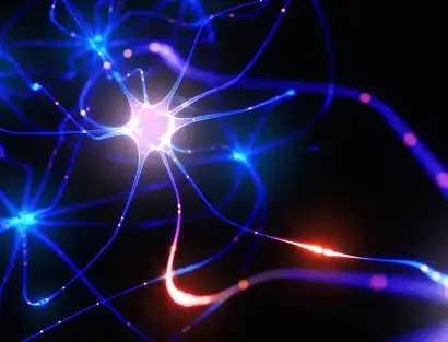 Algae Oil DHA Algae Oil DHA