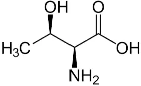 L-threonine Powder L-threonine Powder
