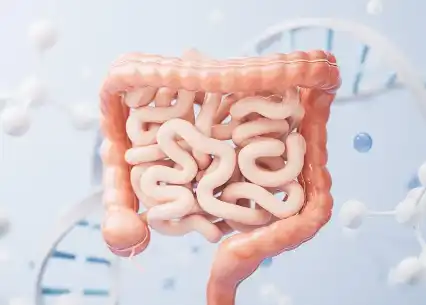 D-Mannitol Powder D-Mannitol Powder