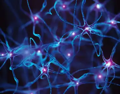 Glycinamide Glycinamide