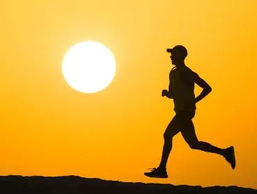 Creatine Nitrate Powder Creatine Nitrate Powder