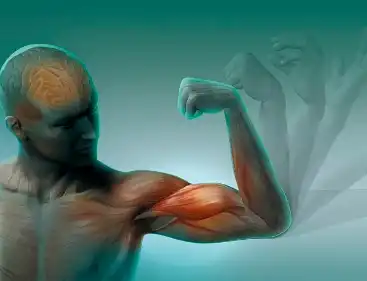 Creatine Nitrate Powder Creatine Nitrate Powder