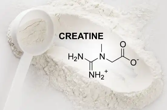 Bulk Creatine Powder Bulk Creatine Powder