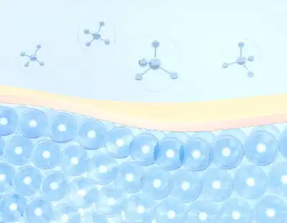 Sodium Ascorbyl Phosphate Sodium Ascorbyl Phosphate