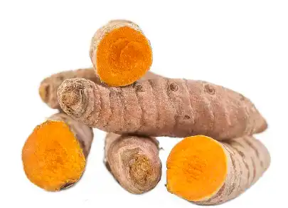 Bulk Turmeric Powder Bulk Turmeric Powder