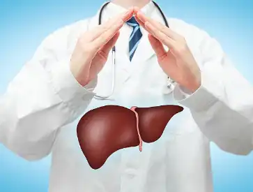 Bulk Turmeric Powder Bulk Turmeric Powder