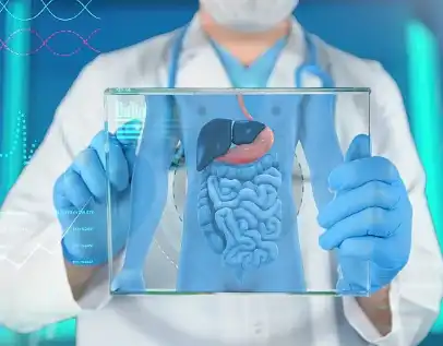 Soybean dietary fiber Soybean dietary fiber