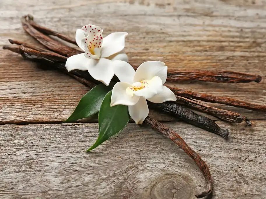 Bulk Vanilla Bean Powder Bulk Vanilla Bean Powder