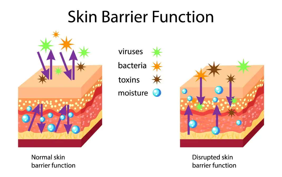Magnesium Glycerophosphate Powder Magnesium Glycerophosphate Powder